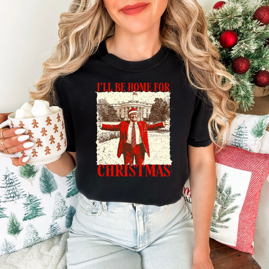 Red Home For Christmas Trump — DTF