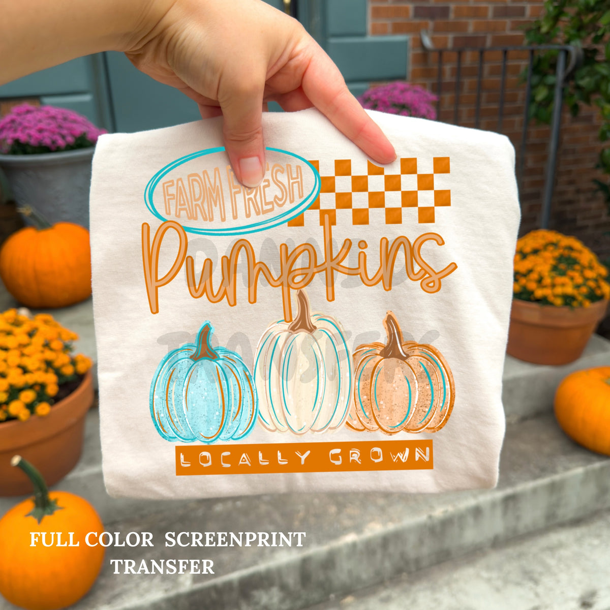 Farm Fresh Pumpkins- Clear Film Screen Print