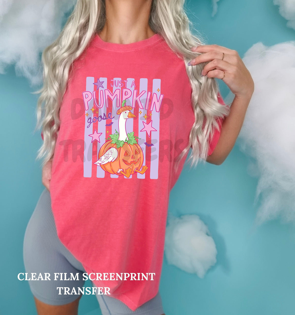 Pumpkin Goose Striped-Clear Film Screen Print
